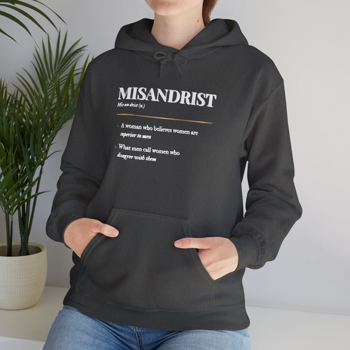 Misandrist Definition Hoodie – Funny Dictionary-Style Anti-Men Graphic Hoodie