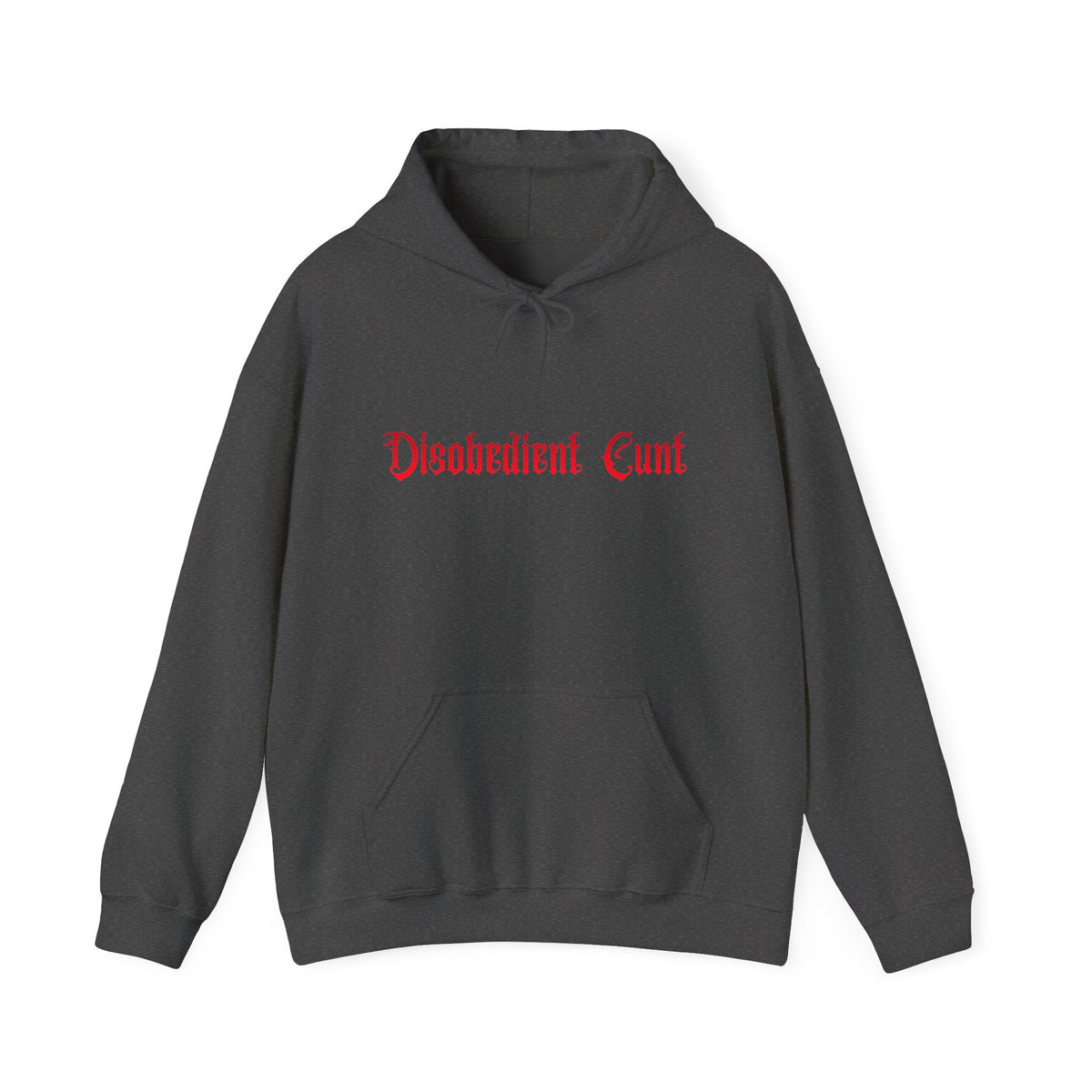 Disobedient Cunt Hoodie – Gothic Red Lettering Feminist Sweatshirt