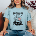 Emotionally Feral Today T-Shirt | Funny Grumpy Cat Graphic Tee | Sarcastic Women’s Shirt