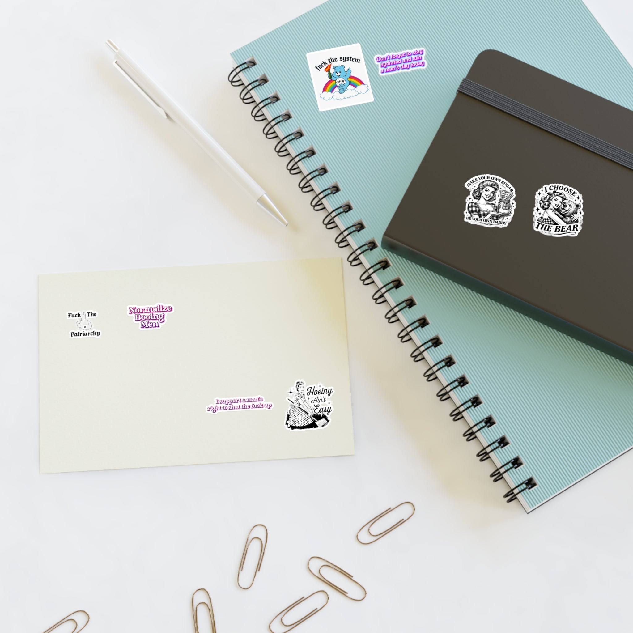 Feminist Vintage & Sassy Quote Sticker Sheet – “Normalize Booing Men”, “Fuck the System”