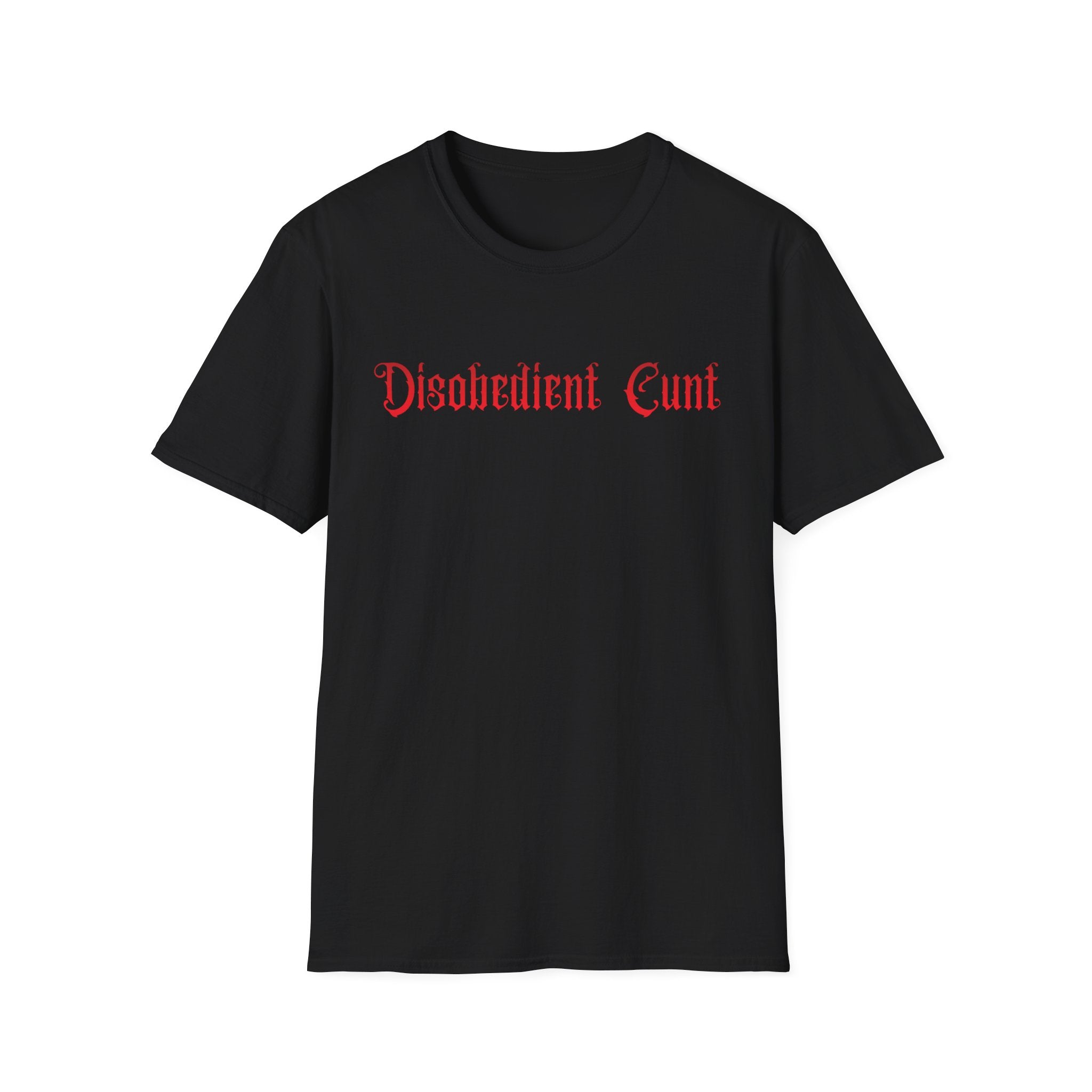 Disobedient Cunt Tee | Feminist Gothic Graphic T-Shirt | Dark Academia Witchy Statement Shirt